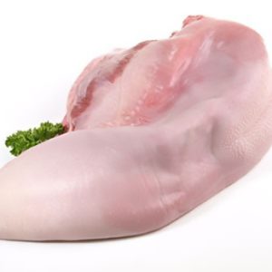 Lengua